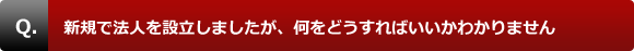 新規で法人を設立しましたが、何をどうすればいいかわかりません